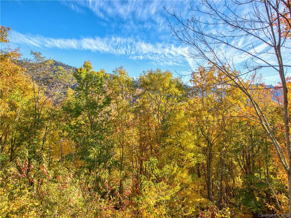29 Blizzard Ridge Maggie Valley, NC 28751 - Photo 4 of 23 Gallery Image 4