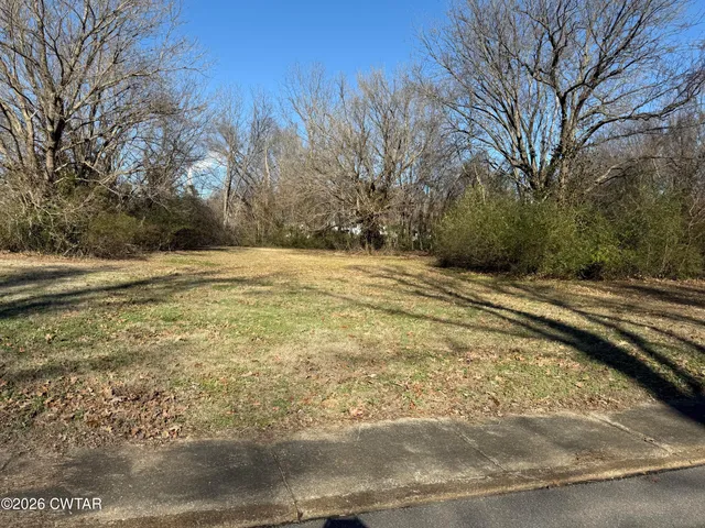 a view of a yard with large trees