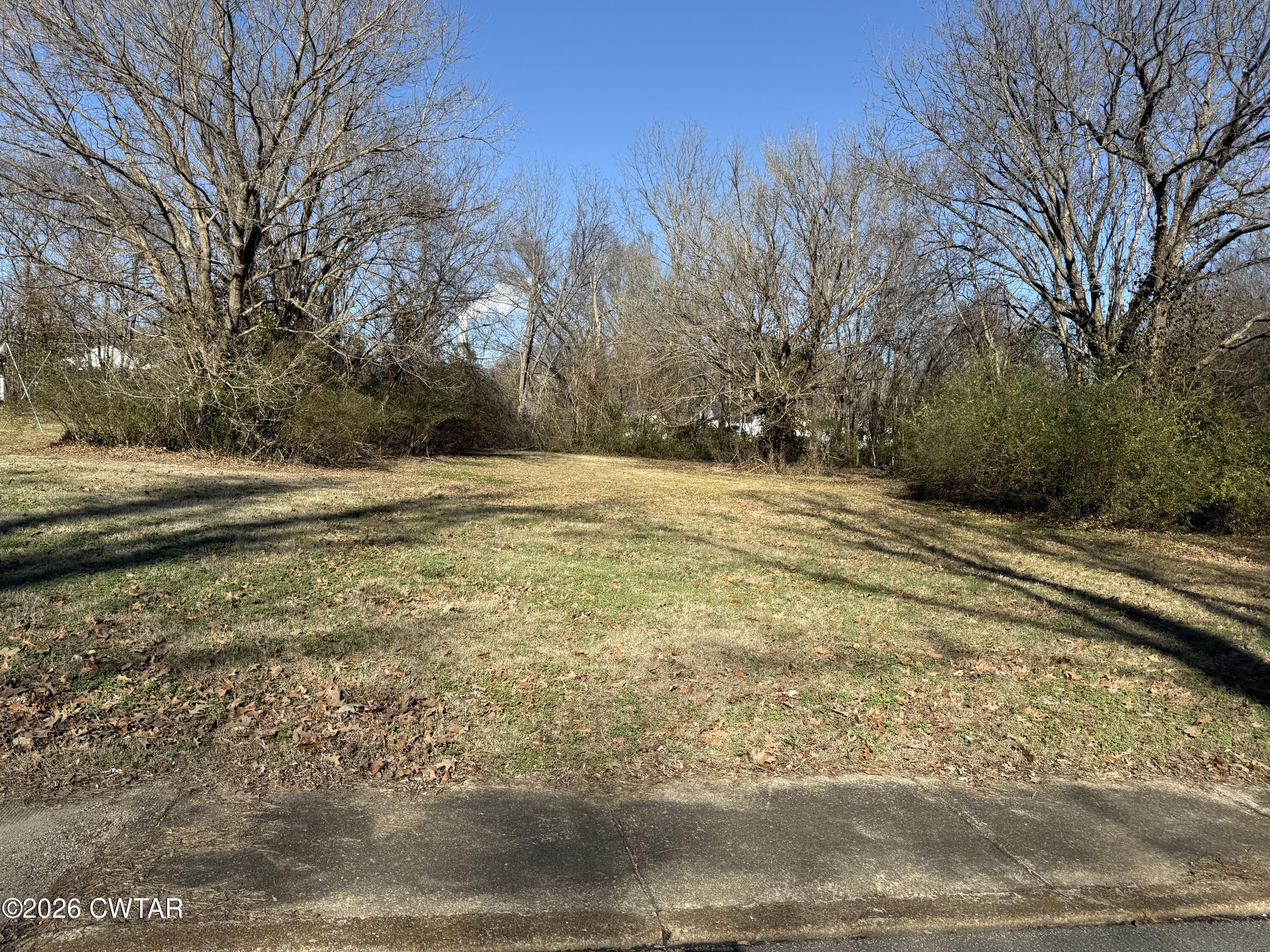 213 Ash Street Jackson, TN 38301 - Photo 3 of 3 a view of a yard with large trees