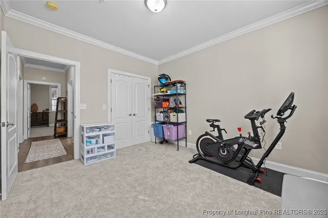 a room with furniture a rug and gym equipment