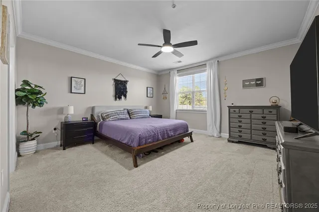 a spacious bedroom with a bed a dresser and a flat screen tv