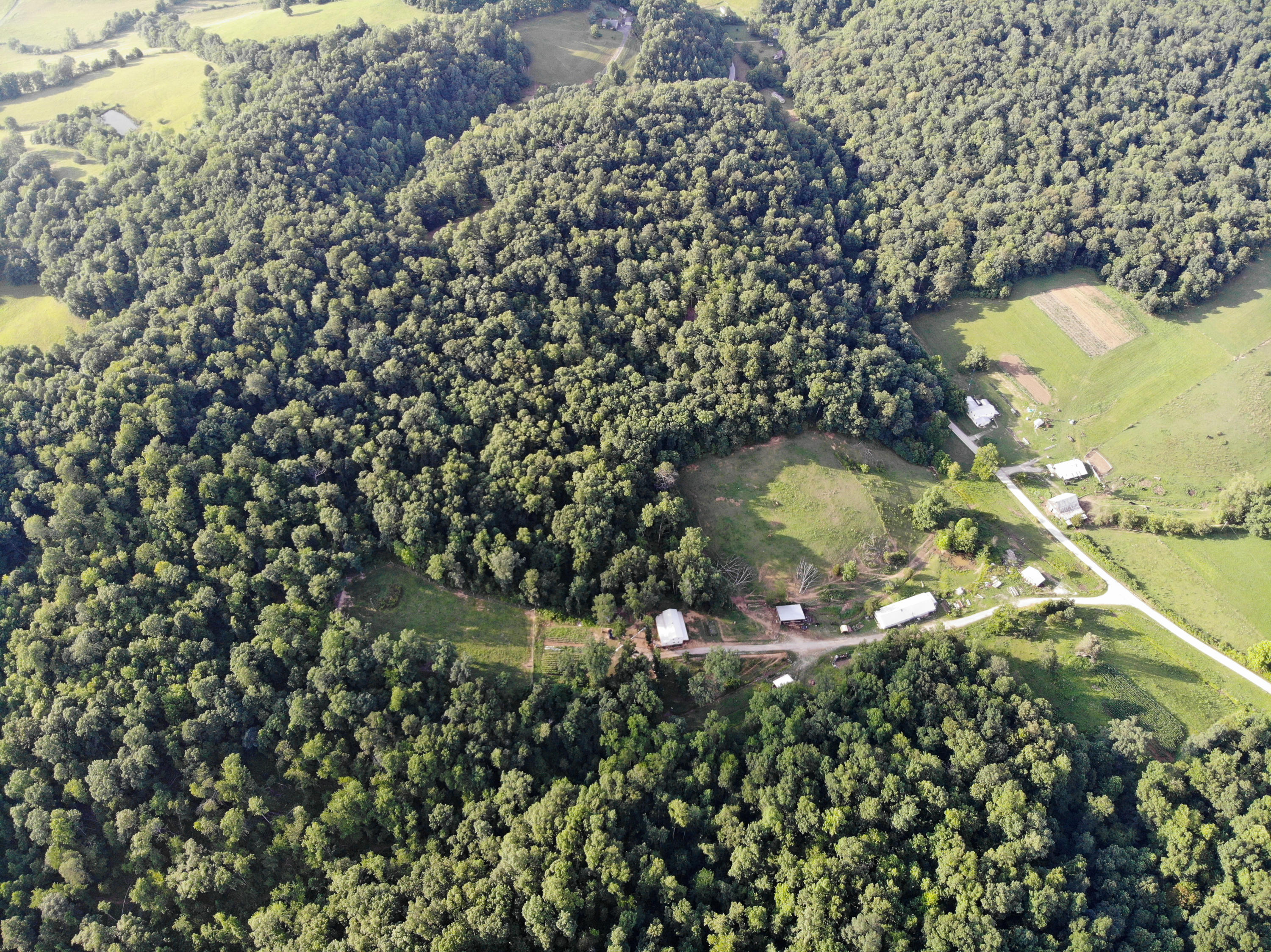 670 Buffalo Road Annville, KY 40402 - Photo 49 of 80 DJI_0791