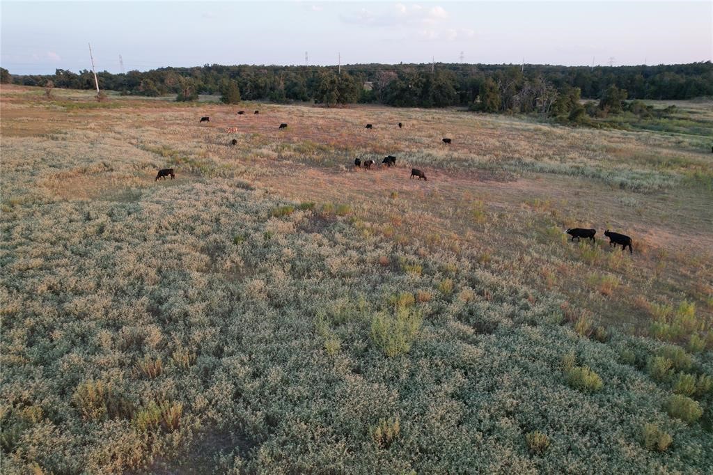 2 County Road 449 Thorndale, TX 76577 - Photo 7 of 11