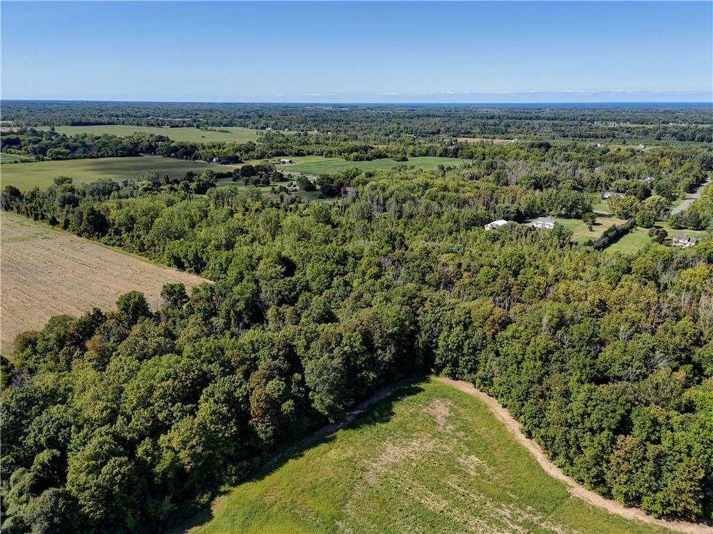 461 Lawrence Road Clarkson, NY 14420 - Photo 32 of 47