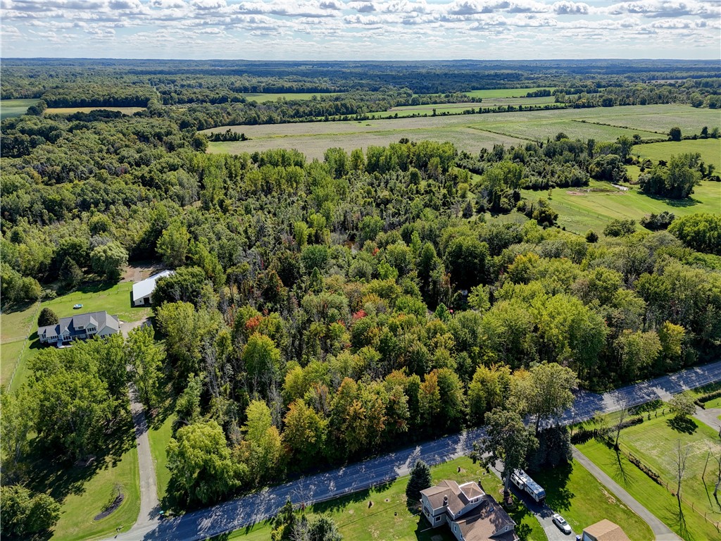 461 Lawrence Road Clarkson, NY 14420 - Photo 36 of 47