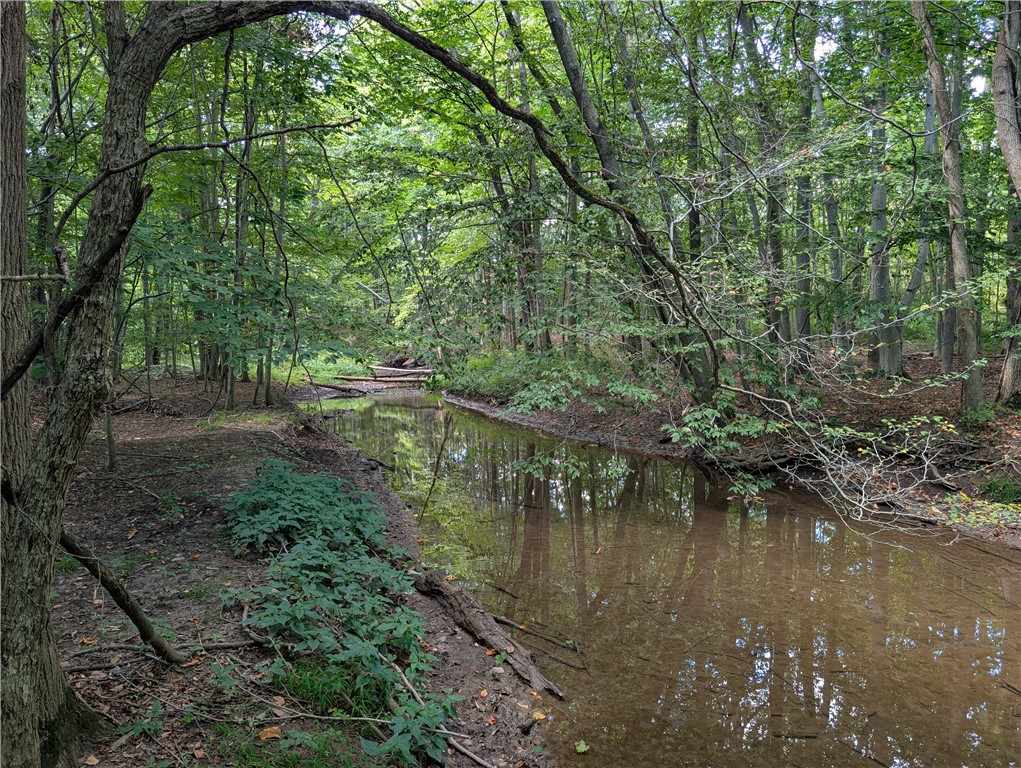 461 Lawrence Road Clarkson, NY 14420 - Photo 45 of 47