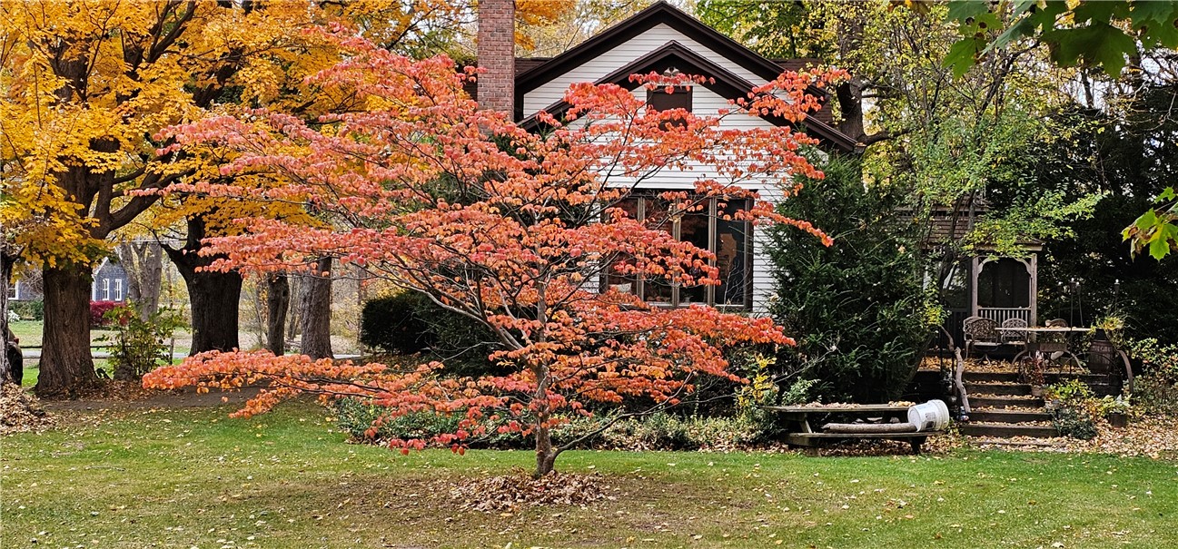 461 Lawrence Road Clarkson, NY 14420 - Photo 5 of 47