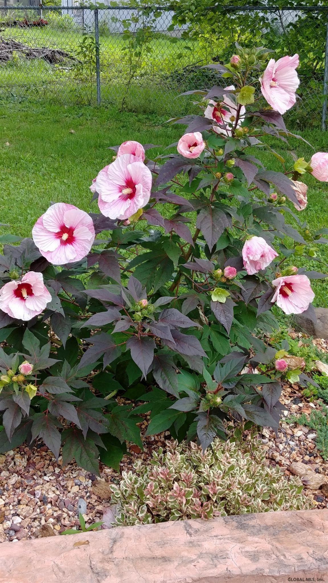 3612 Hwy Rte 20 Esperance, NY 12160 - Photo 63 of 63 Photo 69