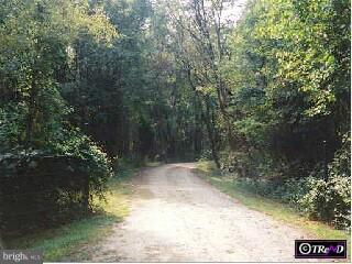 590 Pond Neck Road Earleville, MD 21919 - Photo 2 of 6 Gallery Image 2