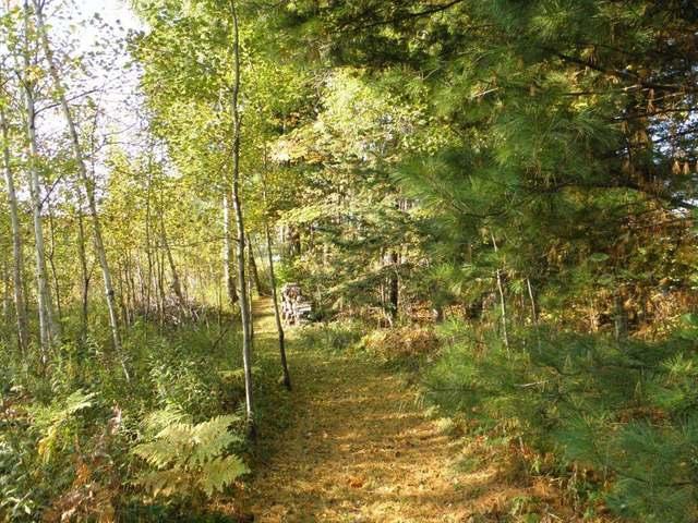 N9691 Mintal Road Phillips, WI 54555 - Photo 14 of 14 Gallery Image 14