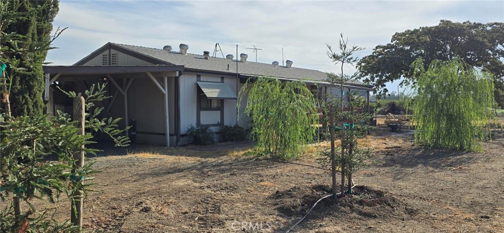 a view of a house with a small yard and a large tree