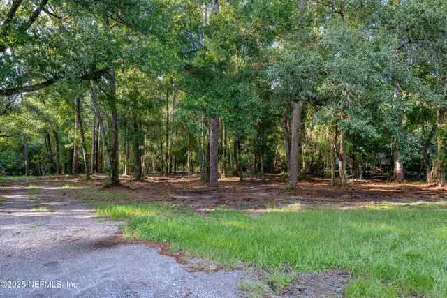 a view of a yard with large trees