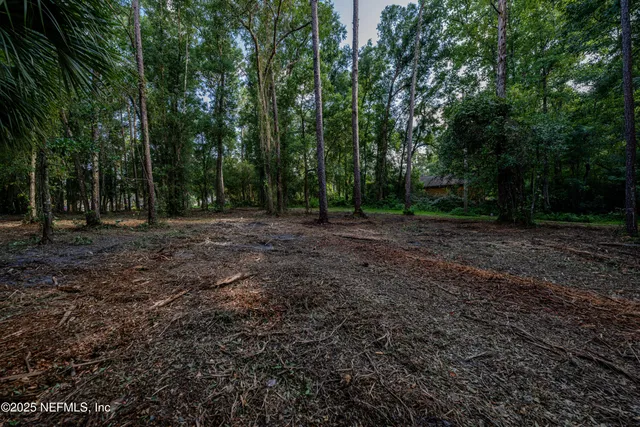 a view of a yard with trees
