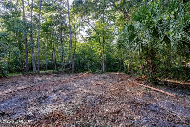 a view of outdoor space with trees all around