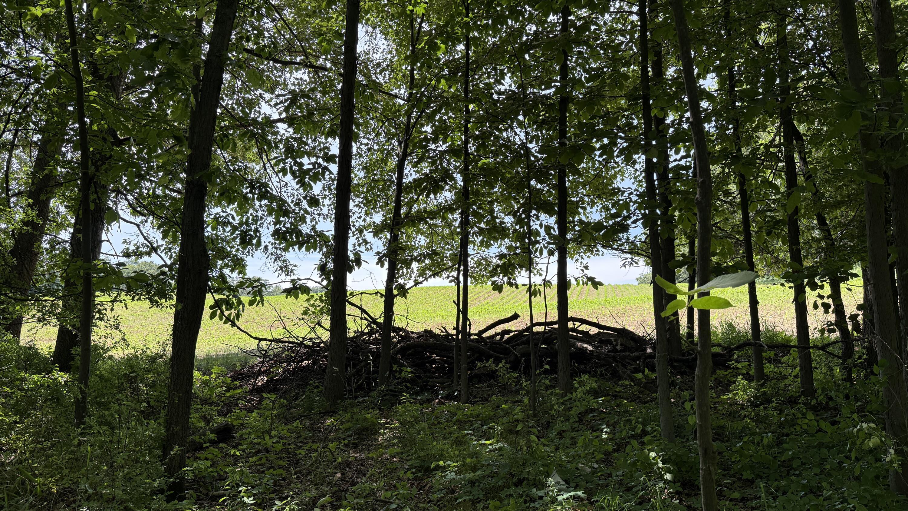 28 28 Mile Road Albion, MI 49224 - Photo 10 of 41 IMG_1496