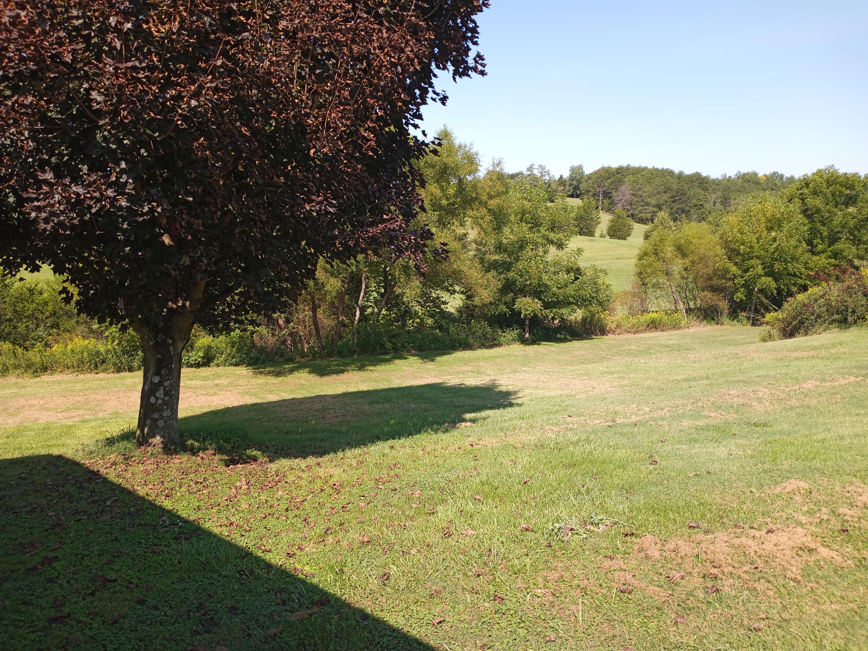 280 Wolfe Branch Road Bulls Gap, TN 37711 - Photo 33 of 35 20210911_111701