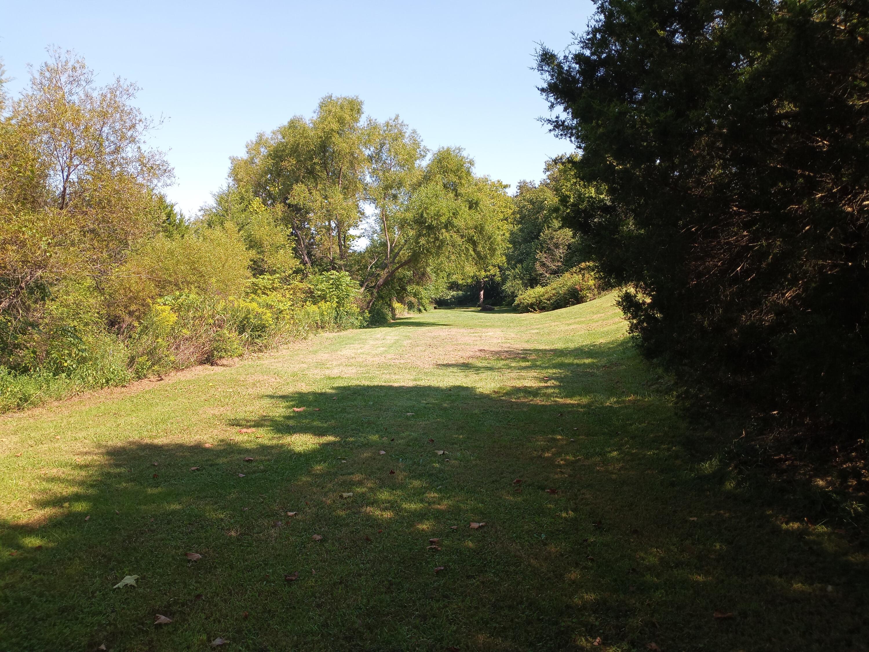280 Wolfe Branch Road Bulls Gap, TN 37711 - Photo 34 of 35 20210911_112706