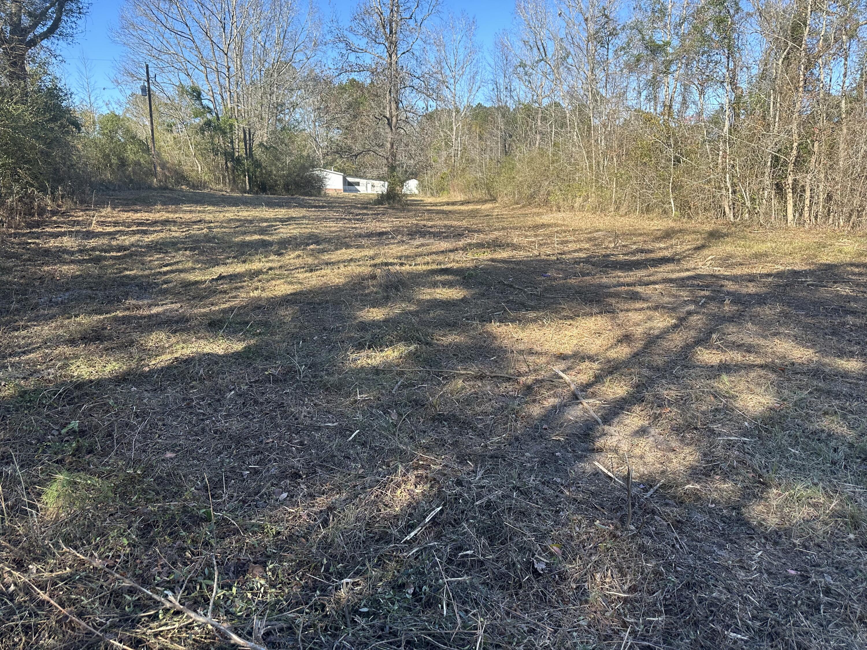 0 Bishopville Road St. George, SC 29477 - Photo 9 of 11