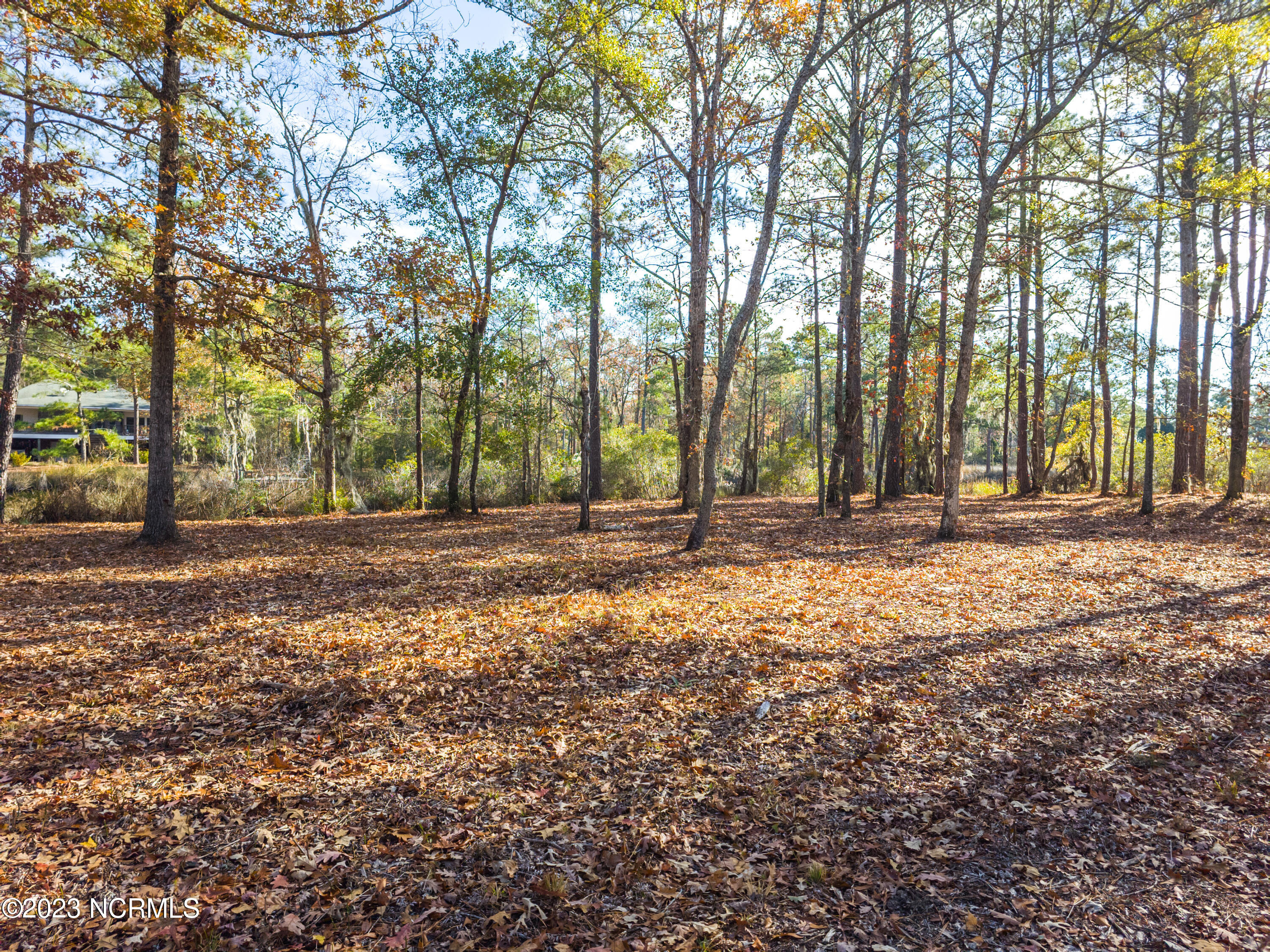 65 Tarpon Pointe Road Bath, NC 27808 - Photo 13 of 20 20231130_103313a