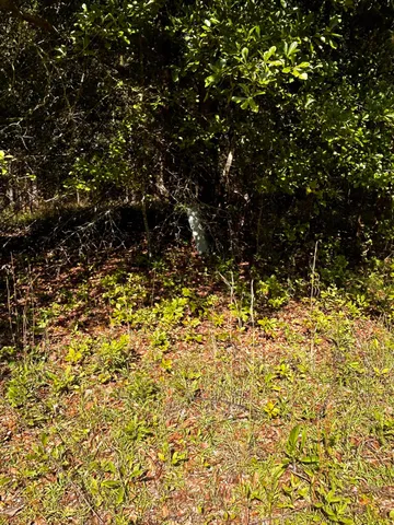 $150,000 | 80 Ga-80, Wrens, GA 30833