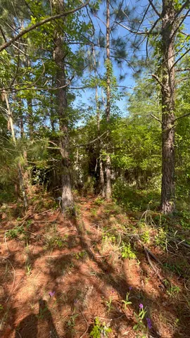 $150,000 | 80 Ga-80, Wrens, GA 30833