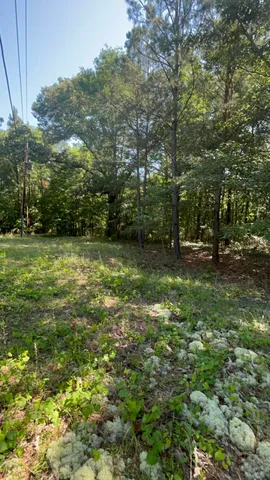 $150,000 | 80 Ga-80, Wrens, GA 30833