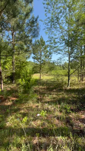 $150,000 | 80 Ga-80, Wrens, GA 30833