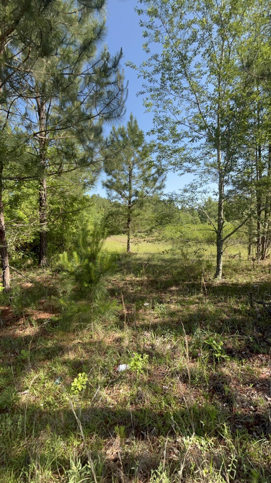 80 Ga-80 Wrens, GA 30833 - Photo 6 of 9 IMG_2255