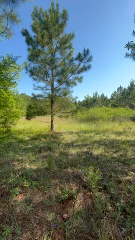 $150,000 | 80 Ga-80, Wrens, GA 30833