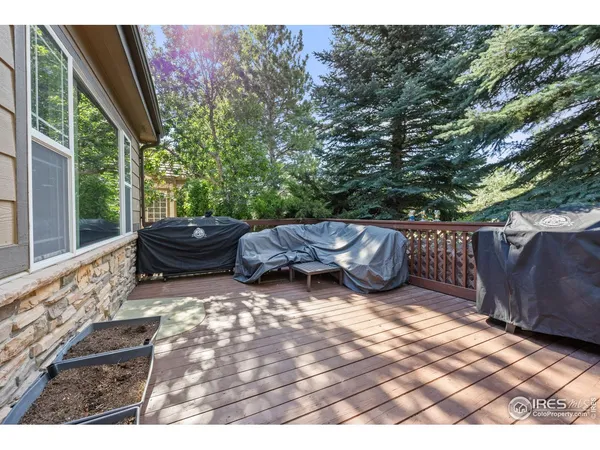 a view of a outdoor space with lounge chair