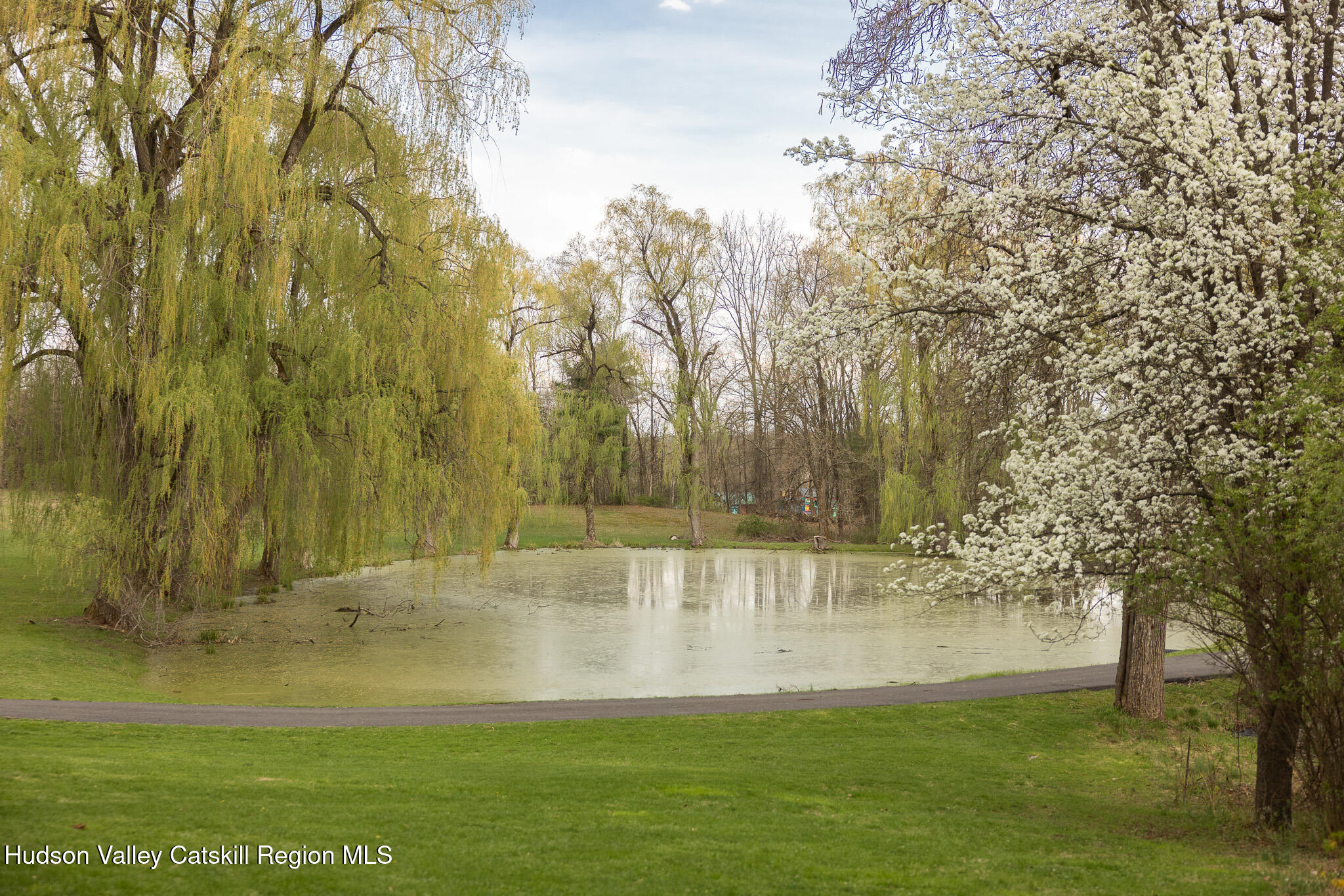 311 Marcott Road Cottekill, NY 12419 - Photo 4 of 40 04_MR245