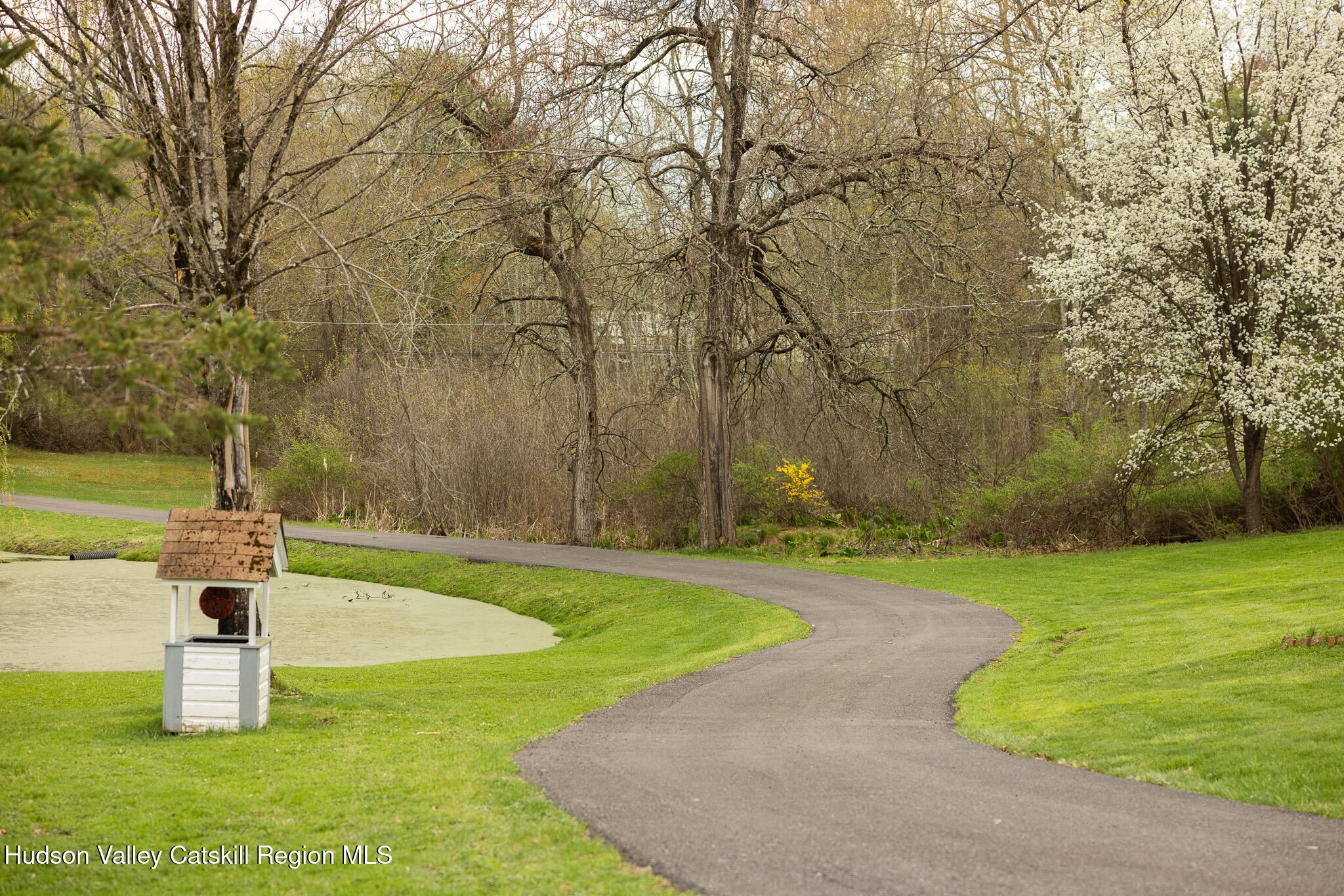 311 Marcott Road Cottekill, NY 12419 - Photo 5 of 40 06_MR288