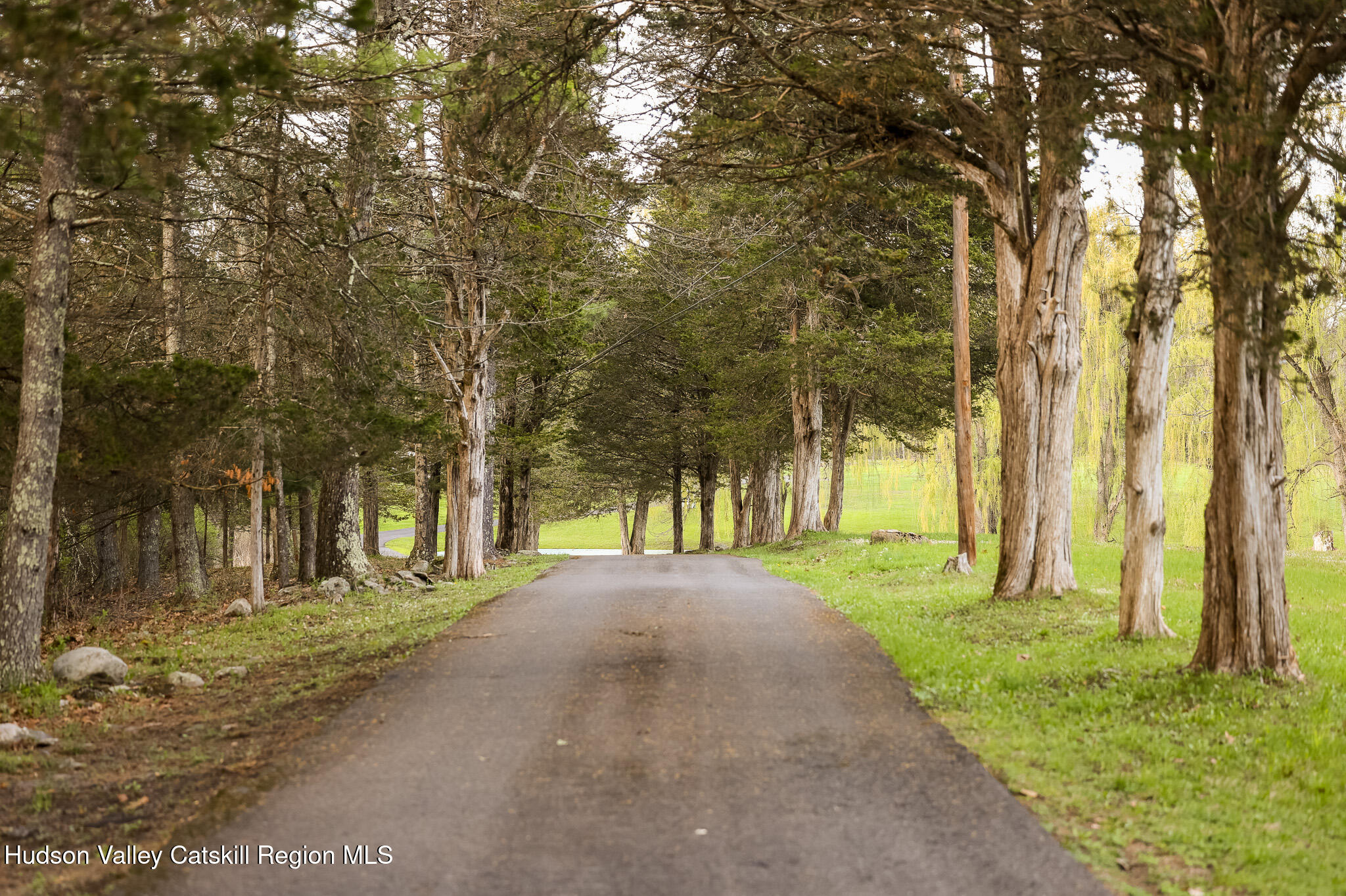 311 Marcott Road Cottekill, NY 12419 - Photo 6 of 40 07_MR301