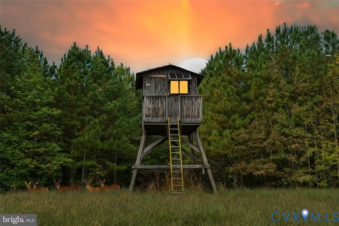 0 Cross County Road Mineral, VA 23117 - Photo 3 of 10 View of playground at dusk