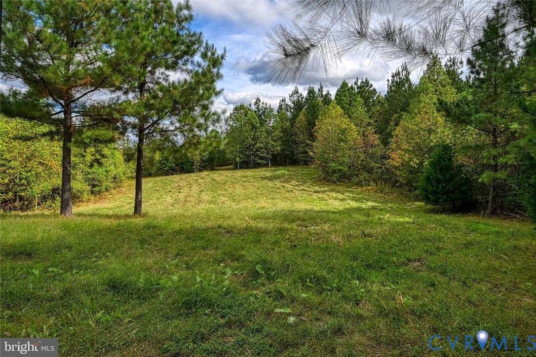0 Cross County Road Mineral, VA 23117 - Photo 9 of 10 View of green lawn