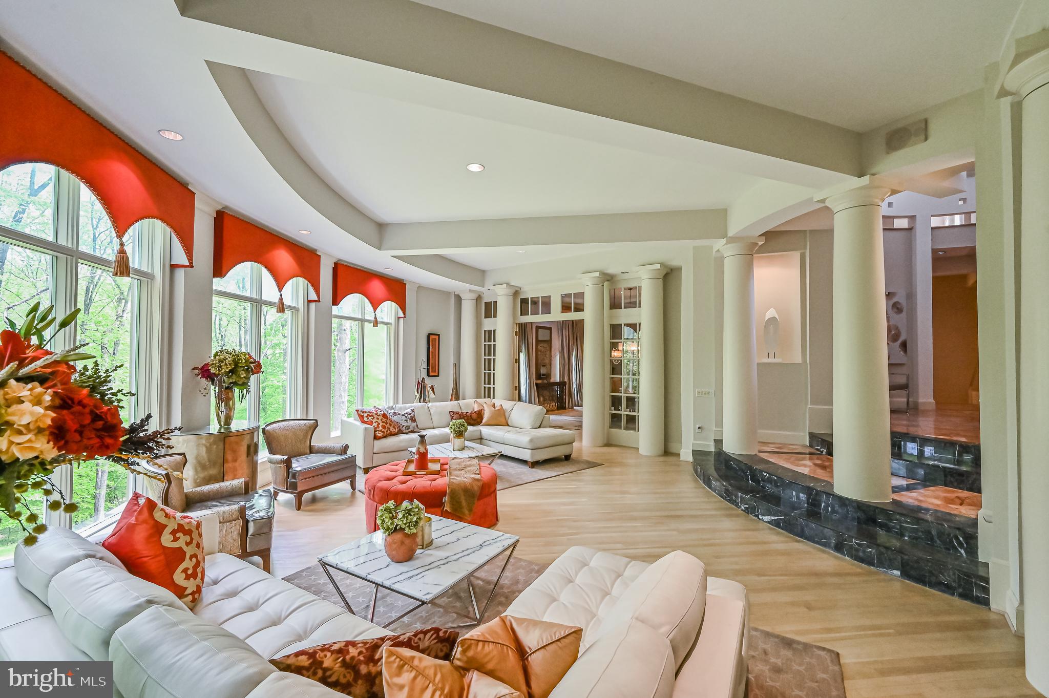 9124 Potomac Ridge Road Great Falls, VA 22066 - Photo 8 of 49 Beautiful Architectural 12 ft Ceilings