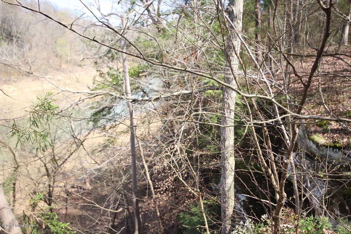 722 Stoneview Church Road Leitchfield, KY 42754 - Photo 40 of 47 722 Stone View1