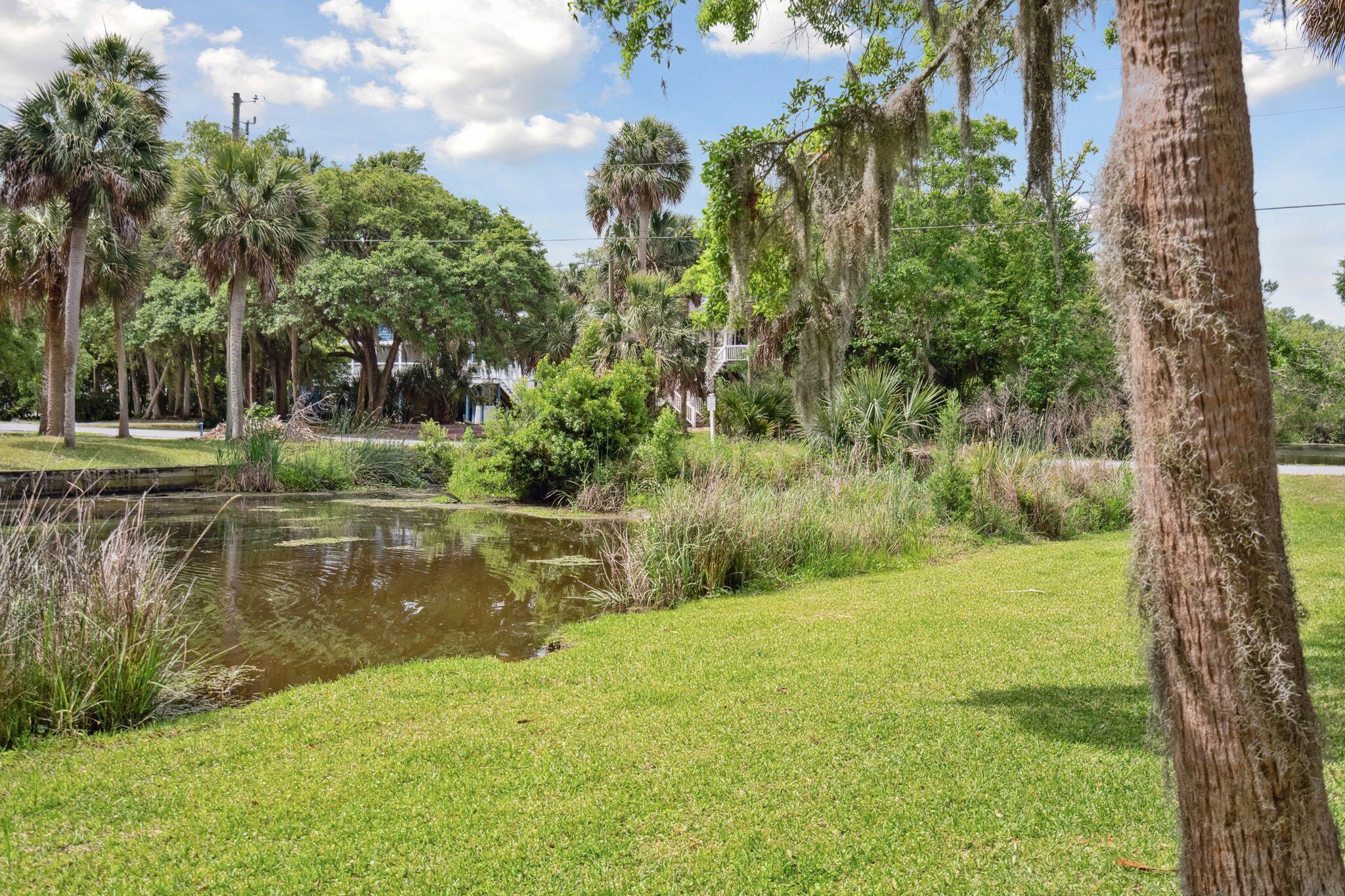 1108 Jungle Road Edisto Island, SC 29438 - Photo 34 of 50 1108JungleRd-KeenEyeMarketing-035