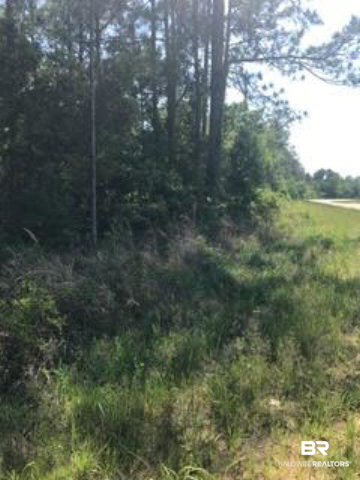 0 Deakle Road Theodore, AL 36582 - Photo 3 of 4