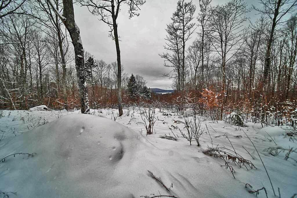 Lot 14 Mountain Road Houlton, ME 04730 - Photo 9 of 75 log-cabin-drews-lake-view