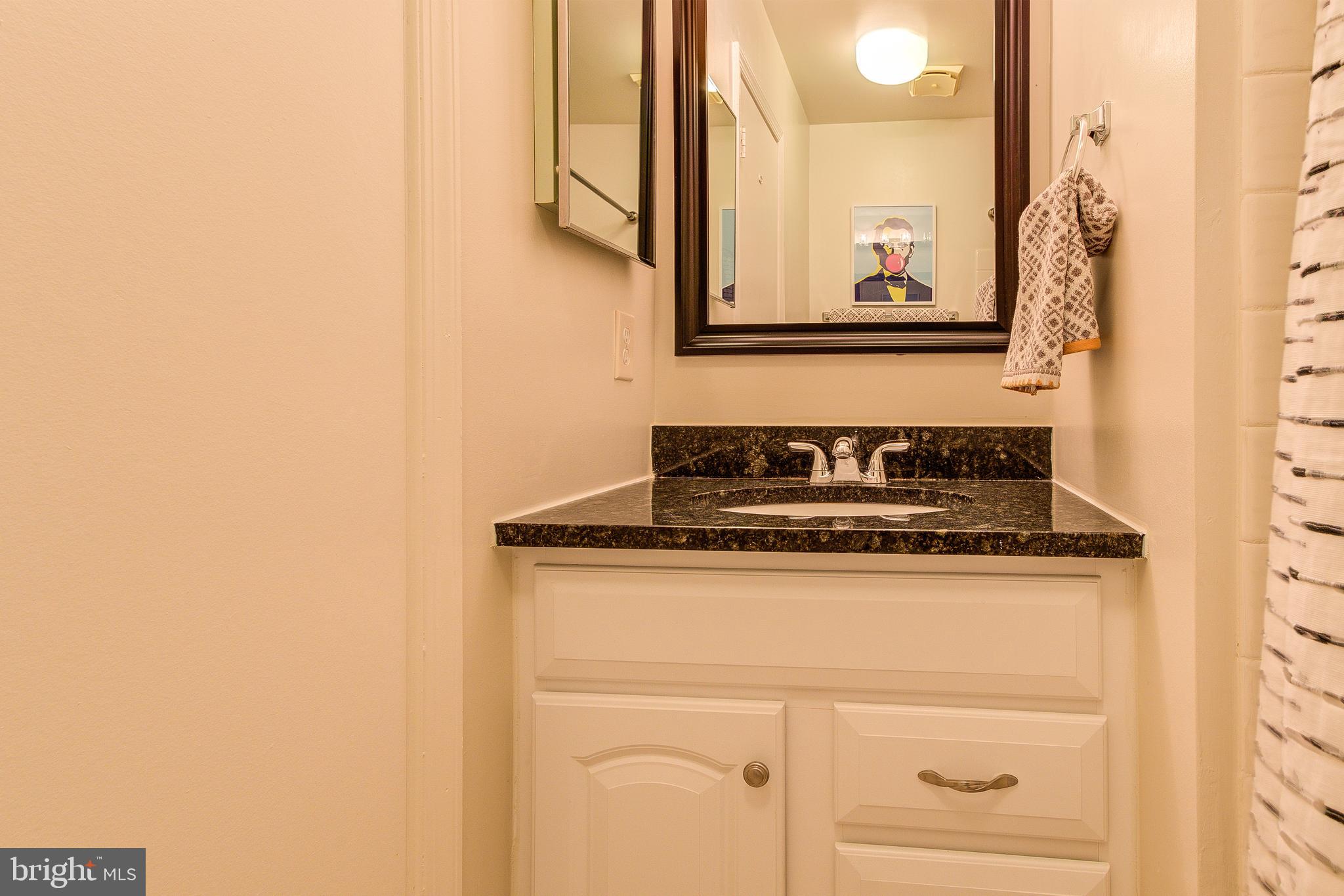 2165 Pond View Court Reston, VA 20191 - Photo 19 of 34 Gallery Image 19
