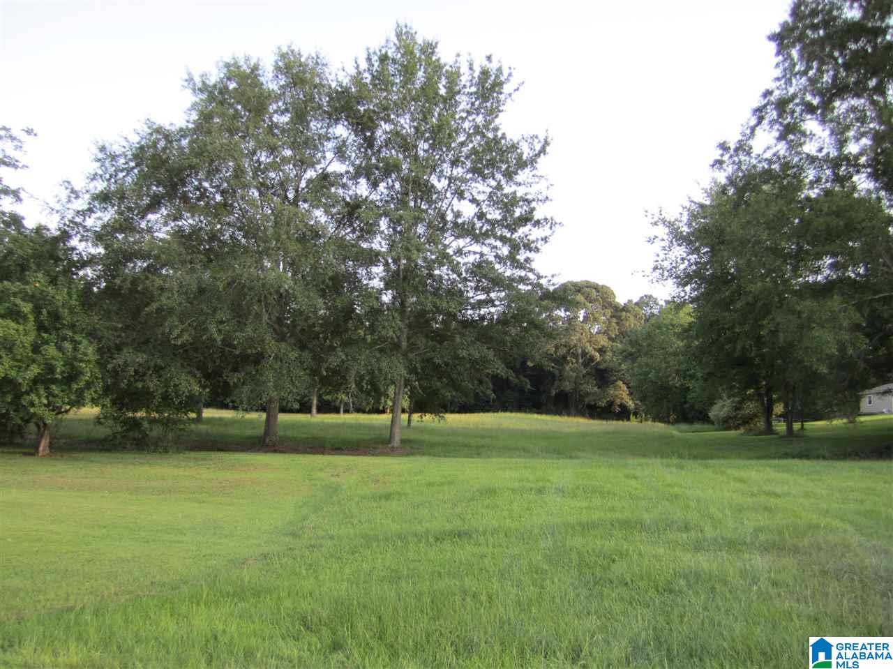 0 Maple Drive, Unit 2 Clanton, AL 35045 - Photo 1 of 3