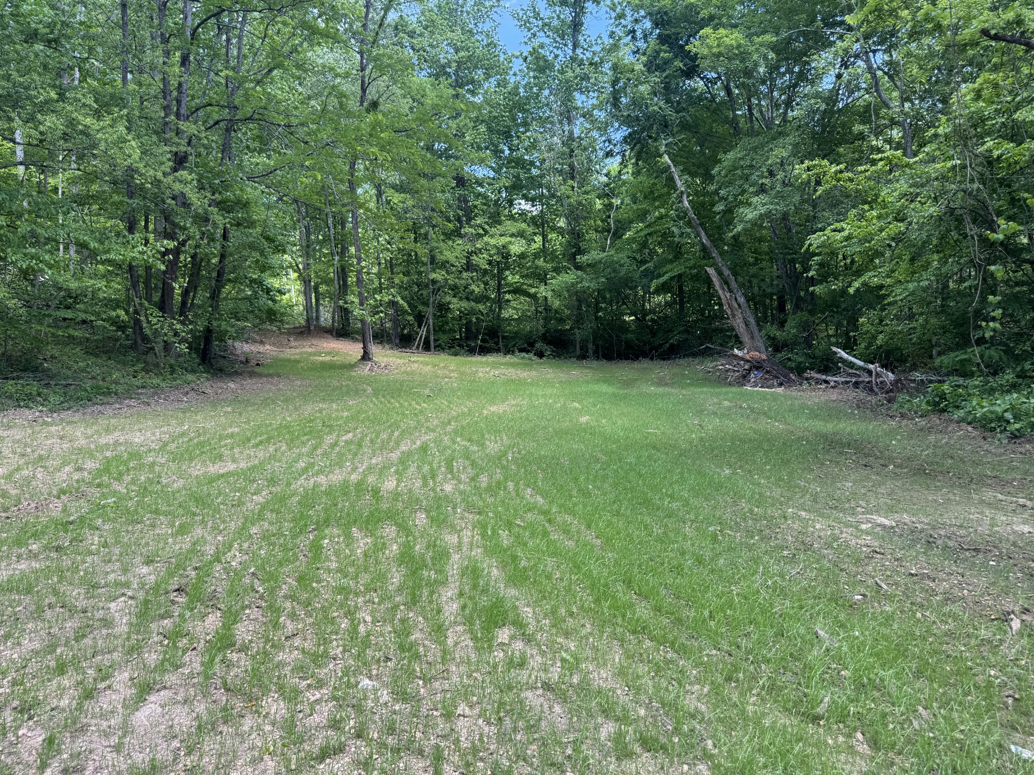 0 Cub Creek Road Indian Mound, TN 37079 - Photo 11 of 15