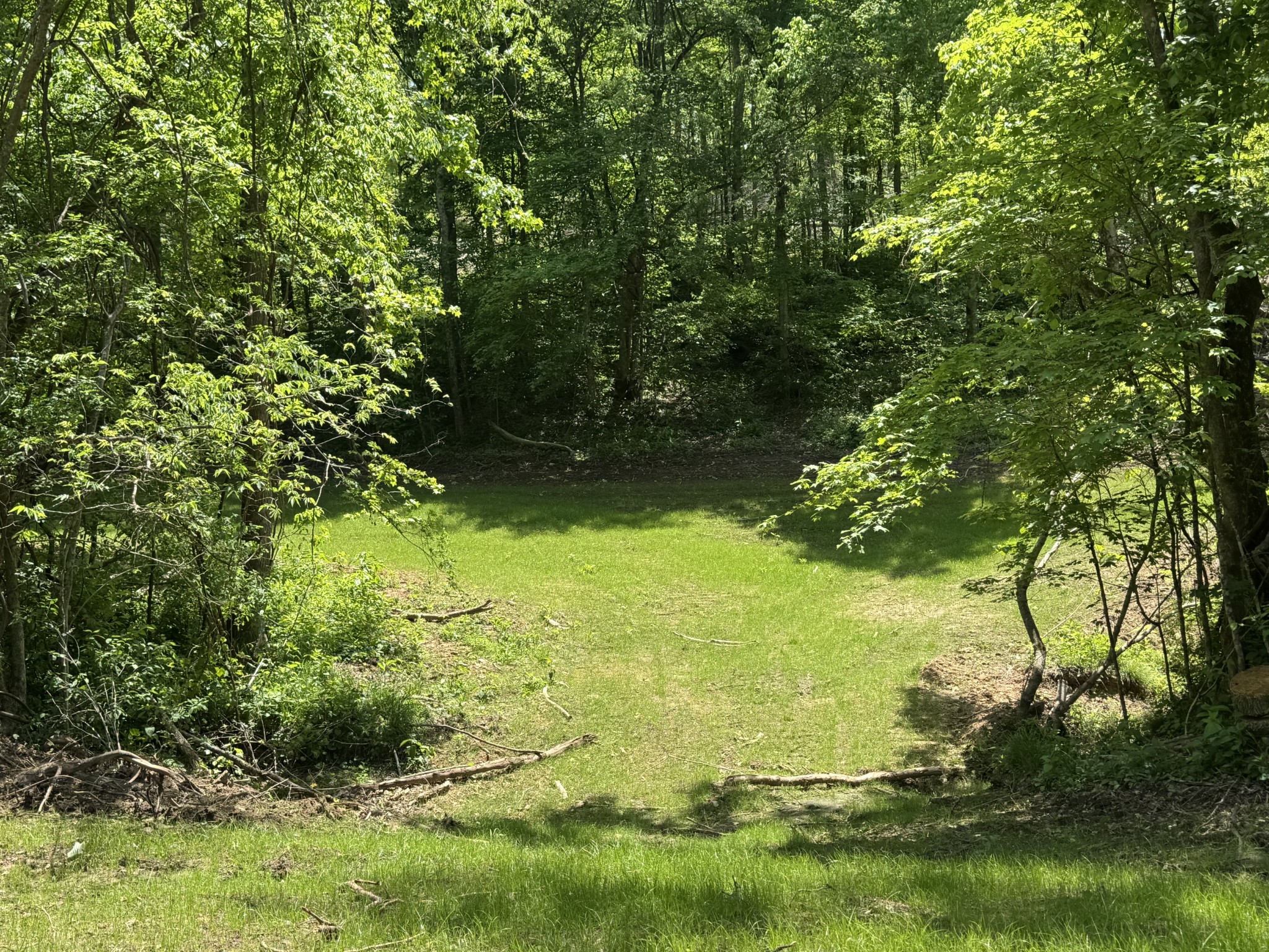0 Cub Creek Road Indian Mound, TN 37079 - Photo 12 of 15