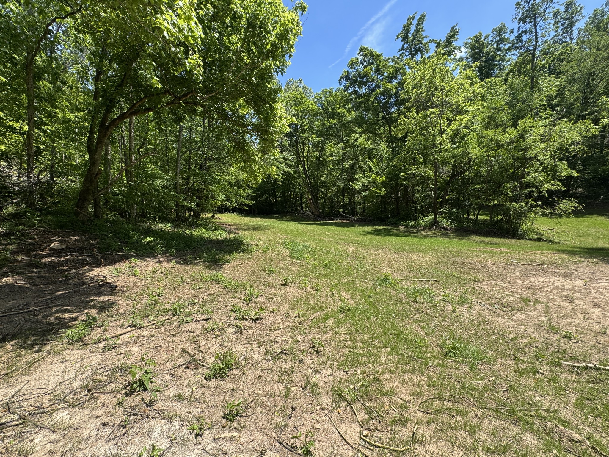 0 Cub Creek Road Indian Mound, TN 37079 - Photo 13 of 15