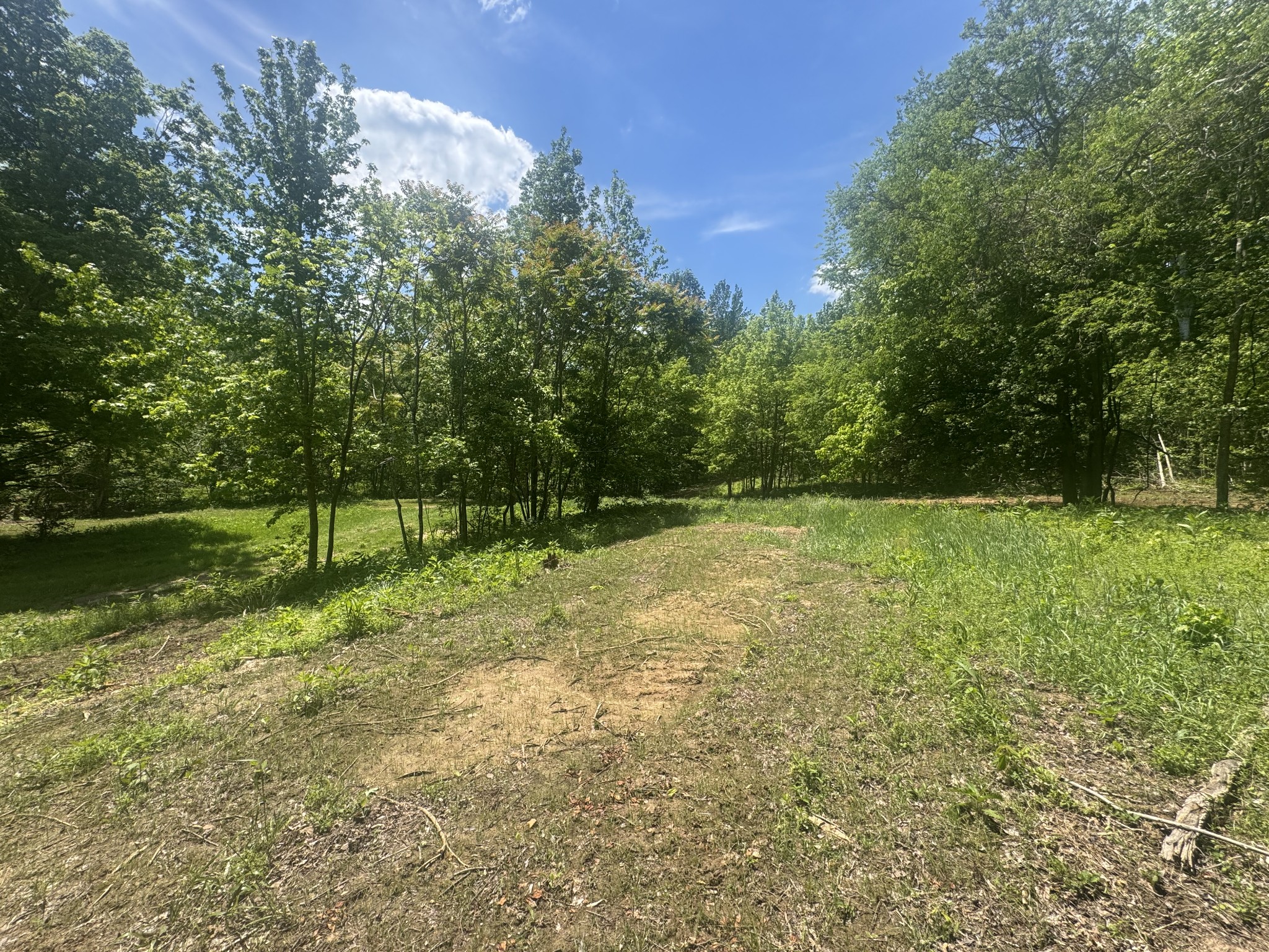 0 Cub Creek Road Indian Mound, TN 37079 - Photo 14 of 15