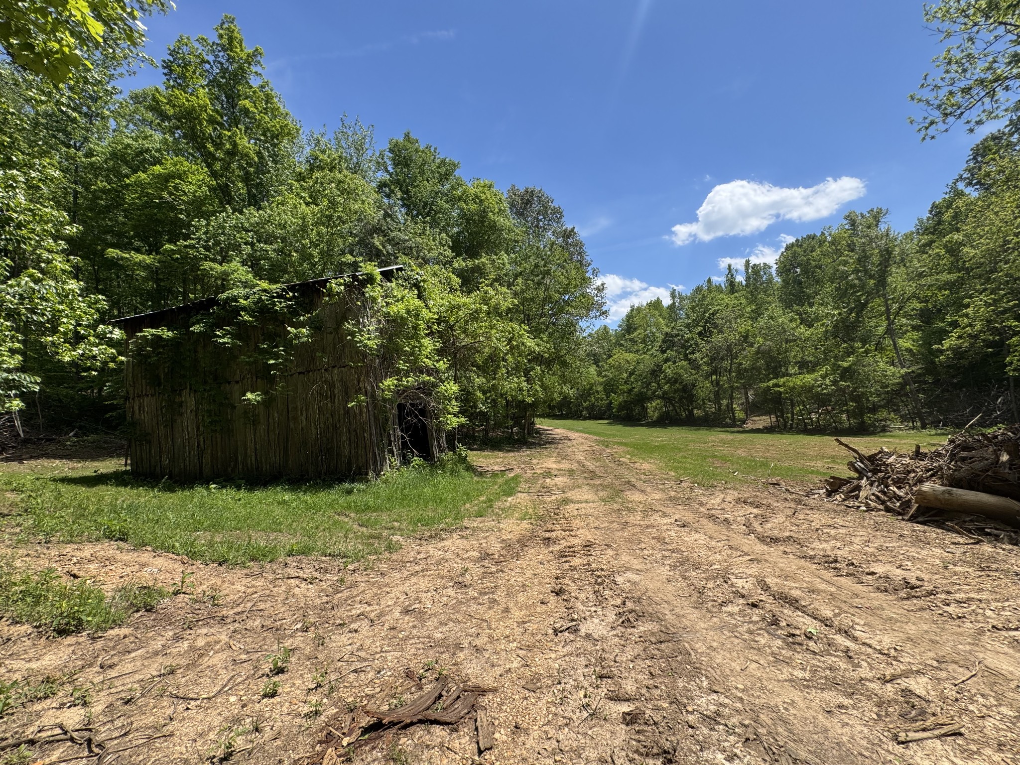 0 Cub Creek Road Indian Mound, TN 37079 - Photo 2 of 15