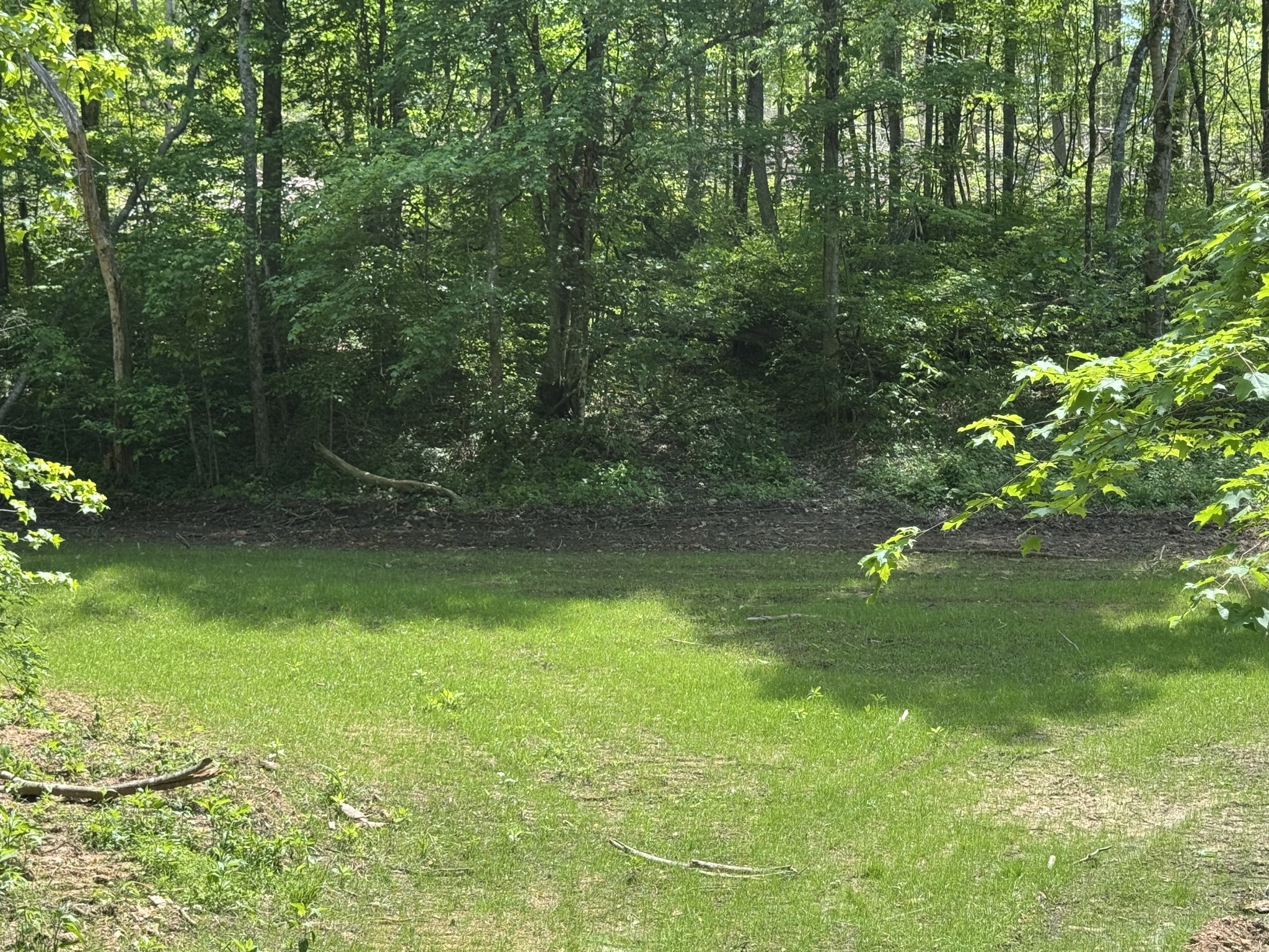 0 Cub Creek Road Indian Mound, TN 37079 - Photo 3 of 15