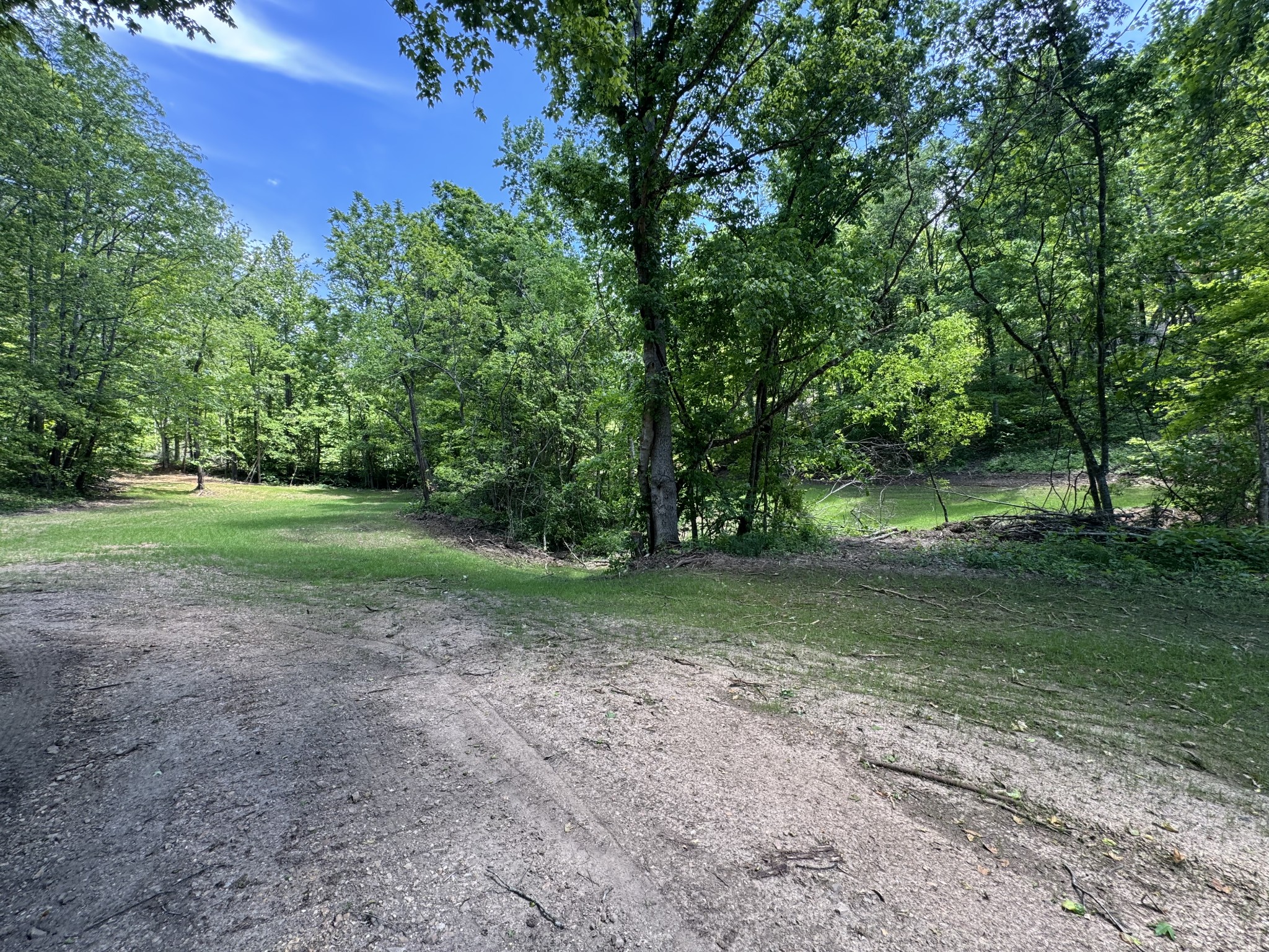0 Cub Creek Road Indian Mound, TN 37079 - Photo 6 of 15