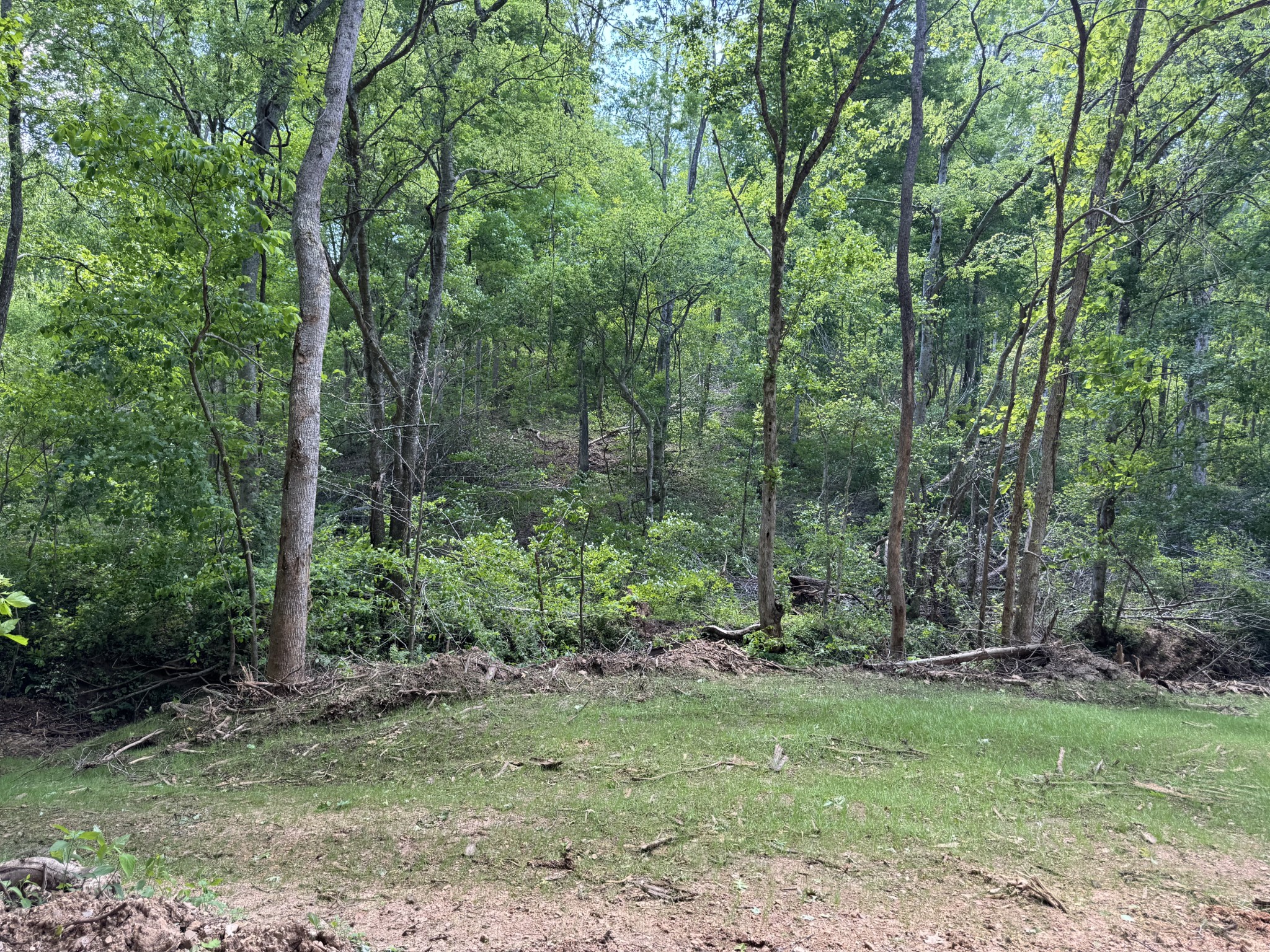 0 Cub Creek Road Indian Mound, TN 37079 - Photo 8 of 15